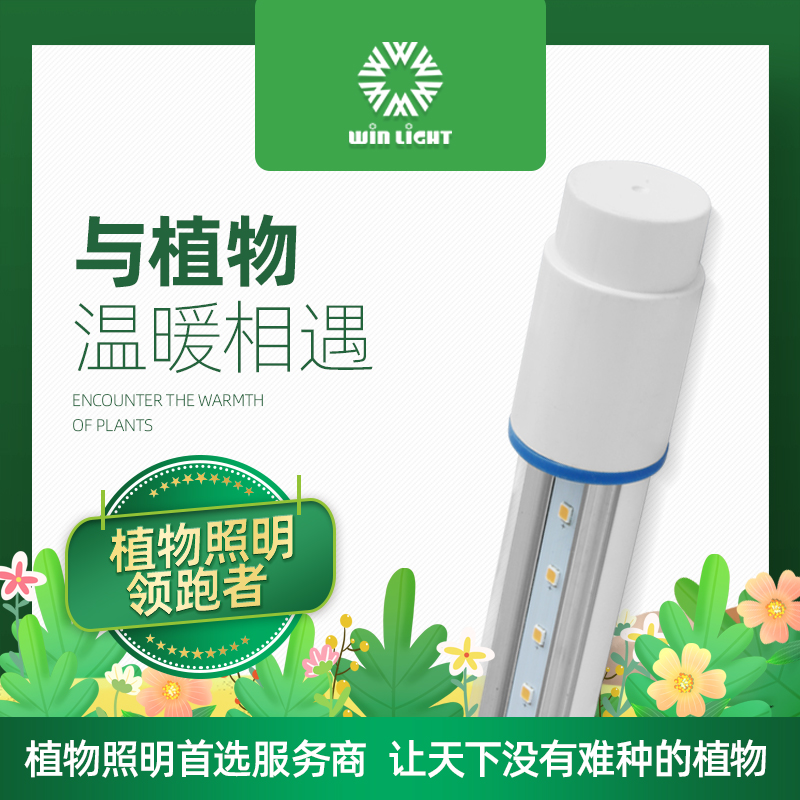 led植物補光燈,火龍果補光燈